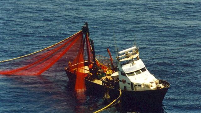 Un barco pescando atún en aguas del Mediterráneo