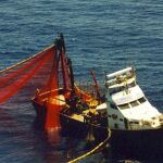 Un barco pescando atún en aguas del Mediterráneo