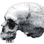 Neandertal