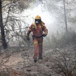 Un brigadista forestal trabaja en un incendio en la Comunidad