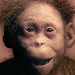 Reconstrucción de la cara de un Australopithecus afarensis de tres años