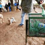 Agentes de la Unidad de Distrito de Tetuán fueron los encargados de vigilar de cerca el cumplimiento de esta ordenanza ayer en su distrito. Lo mismo hicieron los de Villaverde