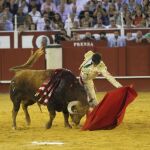 Natural de José Tomás en su última actuación en España, en La Malagueta, el 23 de agosto de 2014