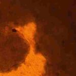 Crean por primera vez injertos de corazón de células madre pluripotentes humanas