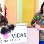Abre en Valladolid el primer centro veterinario exclusivo para gatos de Castilla y León
