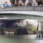 La búsqueda se centrará bajo el puente del Alamillo
