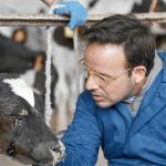 Por un día, el presentador Ángel Llàcer trabajará a jornada completa en una vaquería