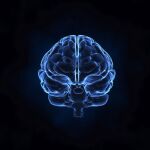 Un cerebro humano, sometido a los rayos X