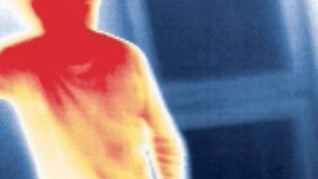 La cámara mostrará la temperatura en función de los colores