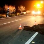 Identificado el dueño del caballo que provocó un accidente mortal
