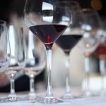 El estudio investiga el comportamiento de las neuronas ante el consumo de alcohol