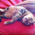 Mixi, «una princesa»