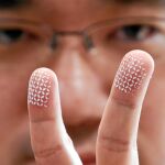 Isao Echizen, autor del estudio, muestra una solución ante posibles robos
