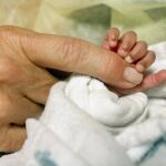 El sexo del hijo no depende solo de la salud de la madre