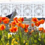Una pareja descansa en un banco del paseo de La Concha de San Sebastián