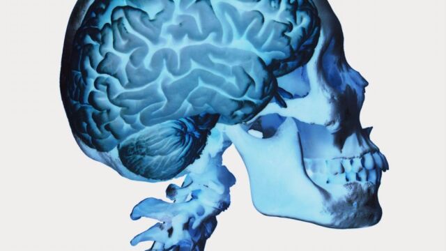 Las causas del autismo están relacionadas con cambios en la química del cerebro