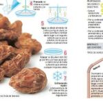 Horchata: Un superalimento para todo el año
