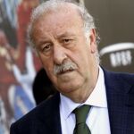El entrenador de la selección española de fútbol, Vicente del Bosque