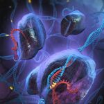 Tecnología de copiado y pegado de genes CRISPR