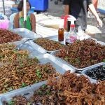 Los insectos tienen un alto contenido en proteínas y valores nutricionales.