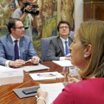 Ana Pastor presidió ayer la reunión con los directivos de Vueling
