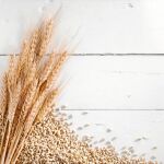 Celiacos: La clave está en un virus