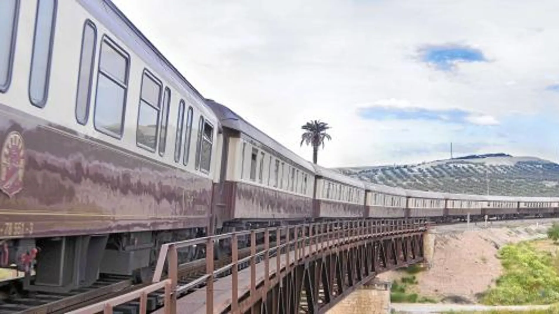 El Tren Al Andalus adentra al viajero en el típico paisaje de olivos propio de Andalucía