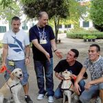 Jack es un bichón maltés que perdió la lengua hace un año al entrar en contacto con una oruga procesionaria durante un paseo