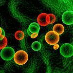 Células tránsfugas del cáncer, en una imagen de archivo