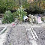 El huerto urbano de la Quinta de Los Molinos, creado en 2012 y situado en la calle Antioquía