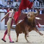 El novillero Alejandro Marcos, en imagen de archivo