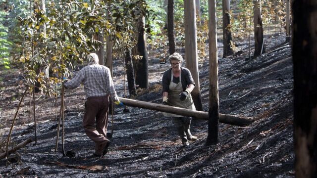 Los propietarios de los montes gallegos evalúan las pérdidas tras los incendios de los últimos días y empiezan a hacer labores de limpieza