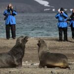 Fotografía del 22 de febrero de 2013 de un grupo de turistas fotografiando a dos lobos marinos en la Isla Decepción, en el archipiélago de las Islas Shetland del Sur, Antártida