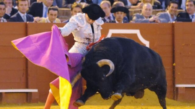 Verónica de recibo de José Garrido el día de su alternativa en Sevilla