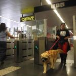 Metro admitirá viajeros de cuatro patas en primavera