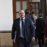 El presidente de la comisión de investigación parlamentaria, Julio Díaz
