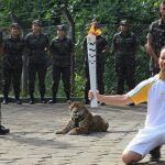 El jaguar Juma