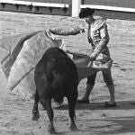 Pepe Luis Vázquez posa en el patio de cuadrillas de la plaza de toros de Las Ventas