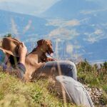 Las aventuras de Eros, el perro viajero