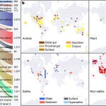 Uno de lo ejemplos de esta detallada base de datos