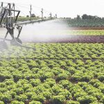 España es referente en Europa en cuanto a la tecnología utilizada en los regadíos para ahorrar agua