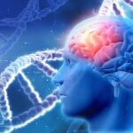 Un solo gen puede determinar la gravedad de la enfermedad