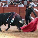 Natural del alicantino en la pasada Feria de la Vega de Salamanca