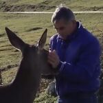 Aladino junto a Bambi