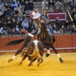 Olor a romero en la Maestranza de Sevilla