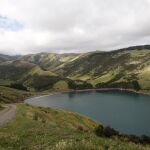 En esta bahía viven más de 2.500 pingüinos