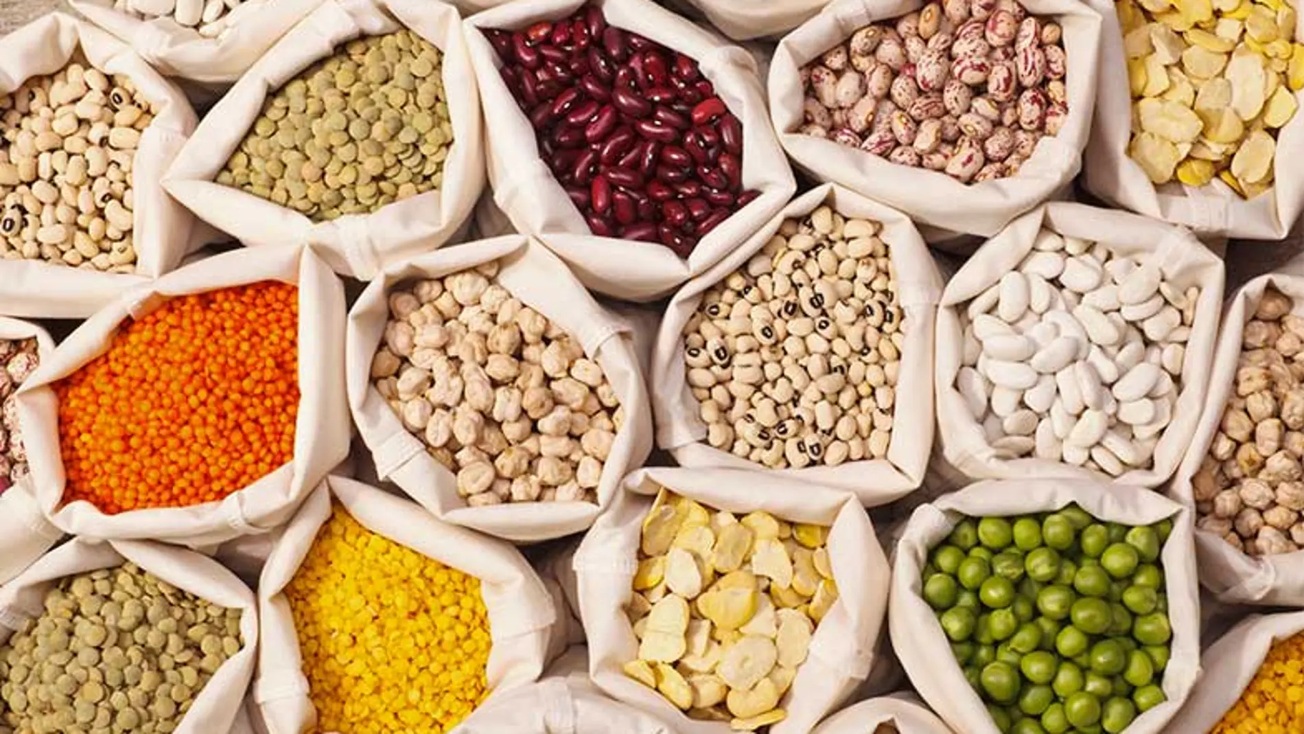 Cinco legumbres que no deben faltar en tu dieta
