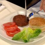 Insectos, plancton o carne artificial en la mesa