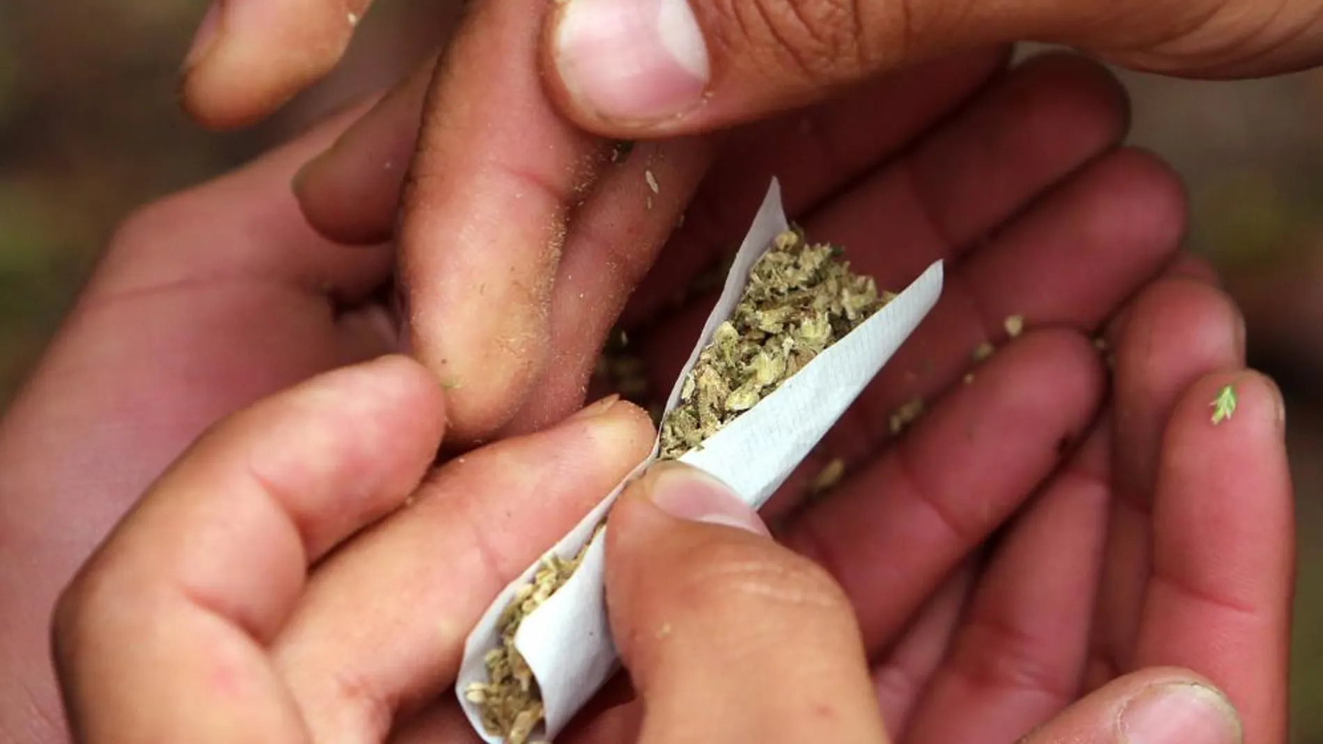 El tribunal de garantías señala que el cannabis es una sustancia calificada como estupefaciente, aunque pueda ser utilizada con fines terapéuticos / Efe