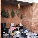 Plantas intervenidas secándose en una casa cuartel de la provincia granadina